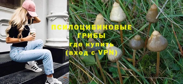 шишки Алзамай