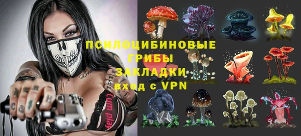 шишки Алзамай