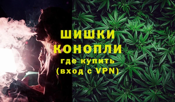 шишки Алзамай
