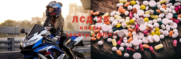 шишки Алзамай