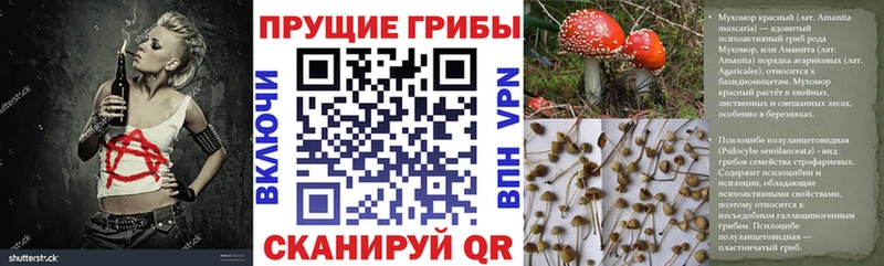 закладка  Биробиджан  Галлюциногенные грибы ЛСД 